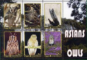 Mini Sheet, Owls, Cinderellas,  , Animals (Fauna), Birds, Owls
