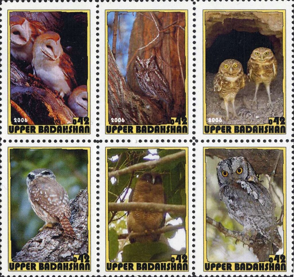 Owls