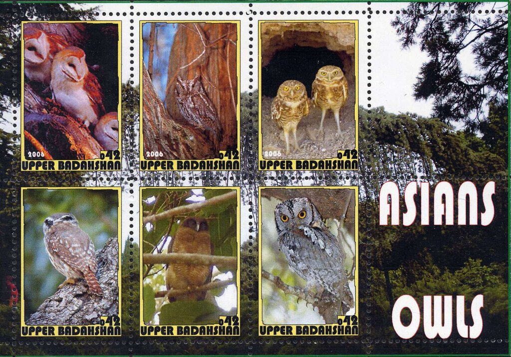 Owls
