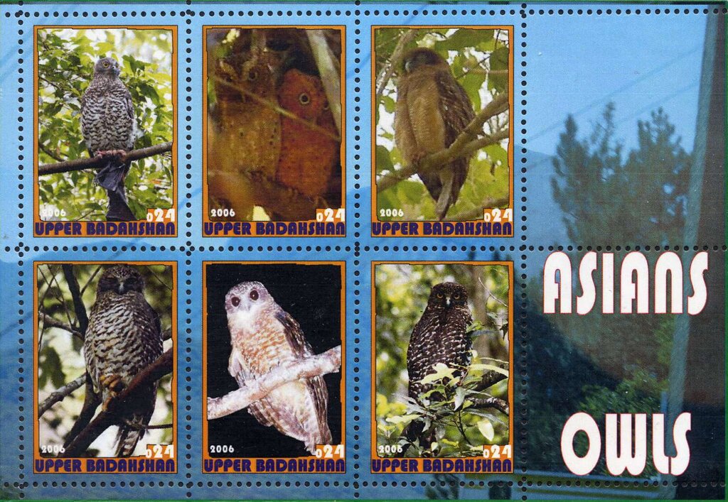 Owls