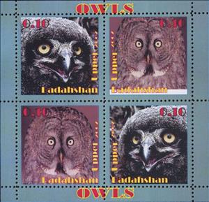 Mini Sheet, Owls, Cinderellas,  , Animals (Fauna), Birds, Owls