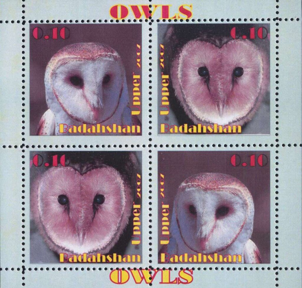 Owls