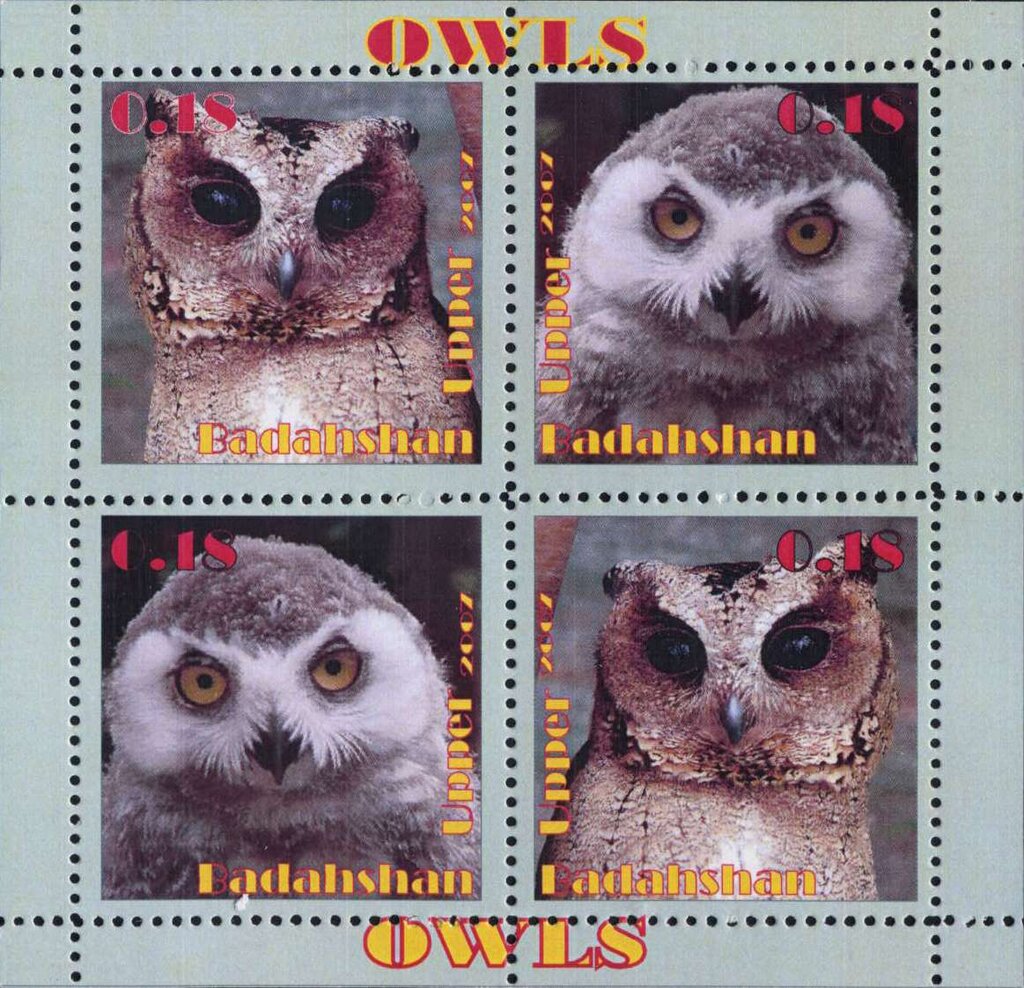 Owls