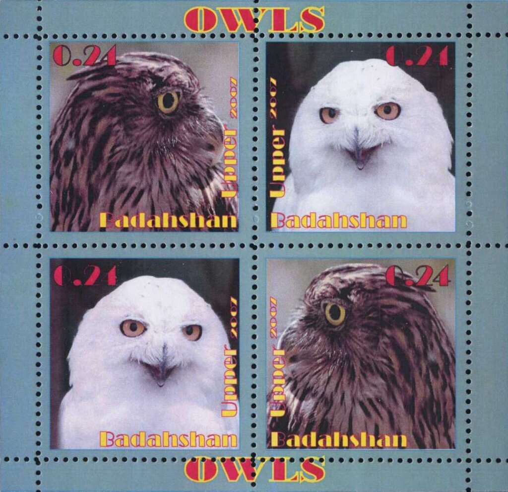 Owls