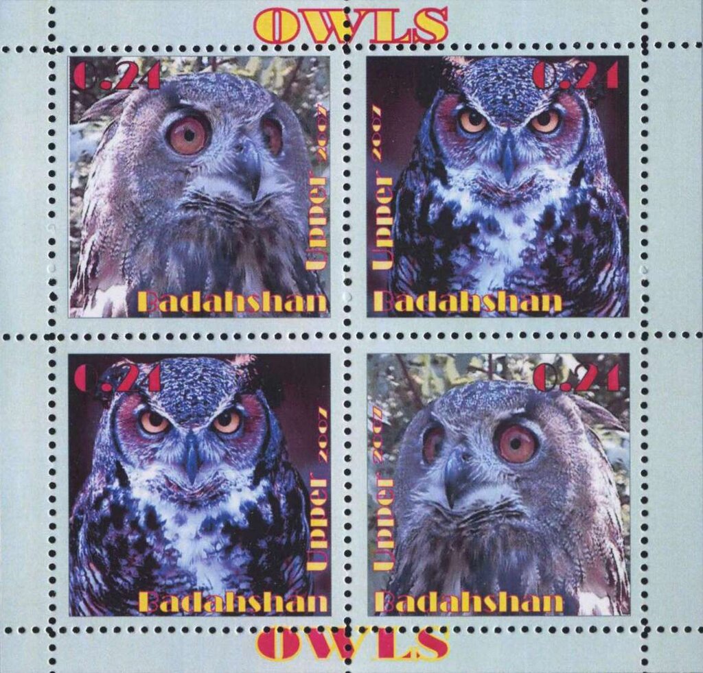 Owls