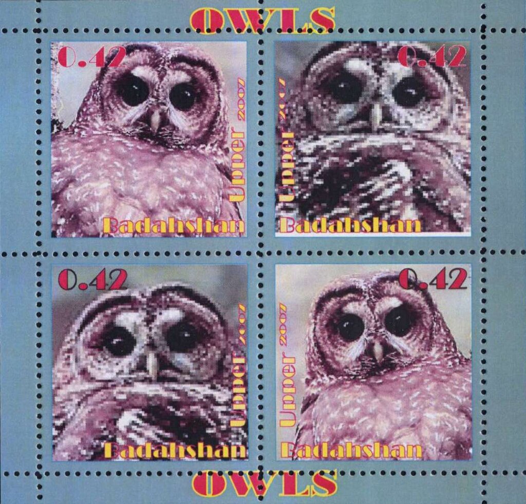 Owls