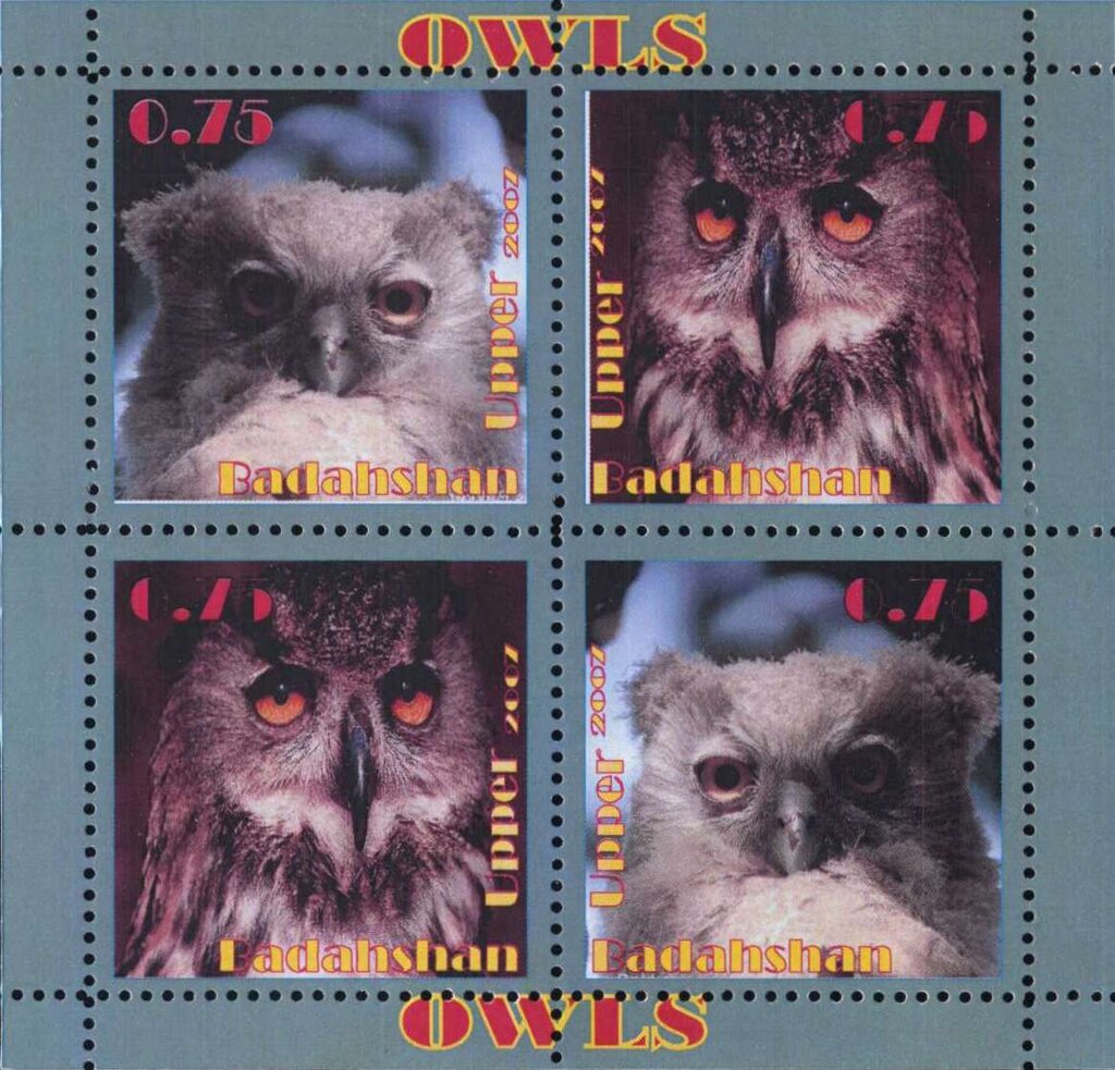 Owls