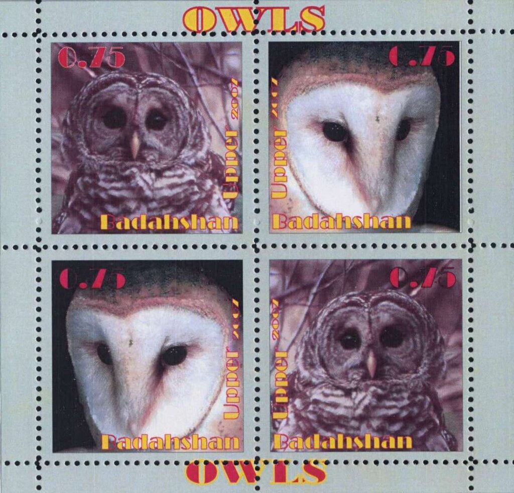 Owls
