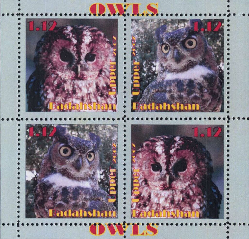 Owls