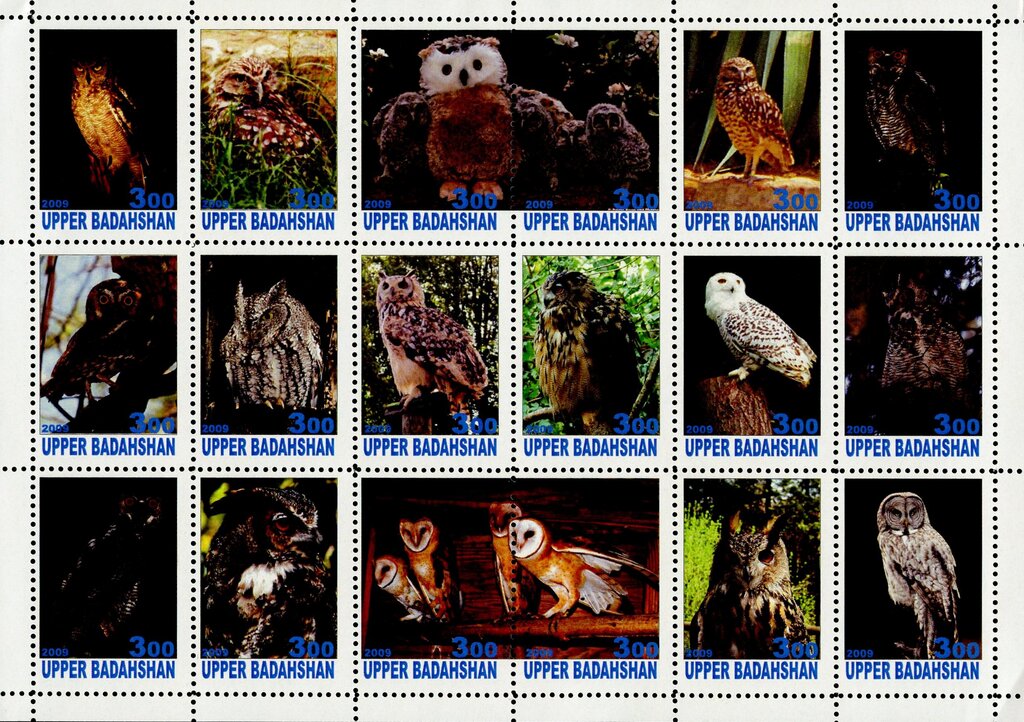 Owls