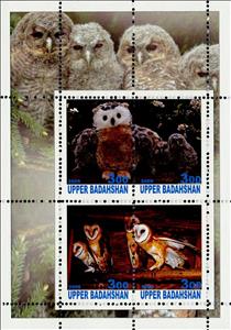 Mini Sheet, Owls, Cinderellas,  , Animals (Fauna), Birds, Owls