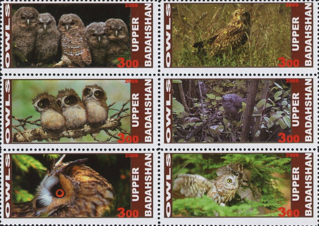 Owls