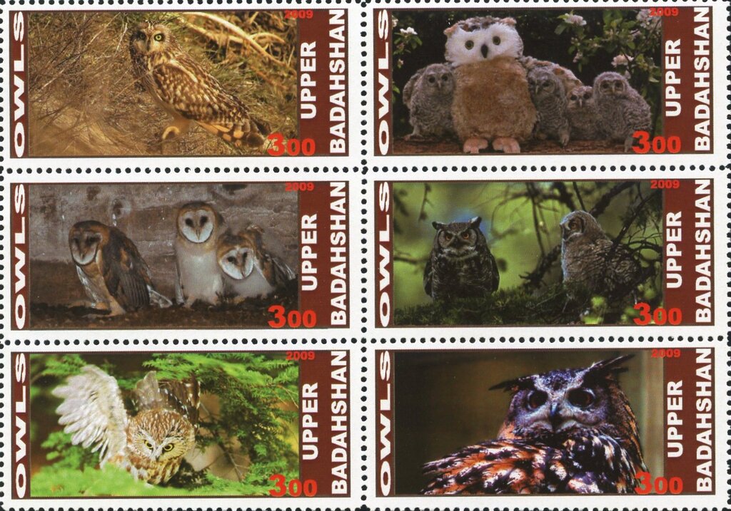 Owls