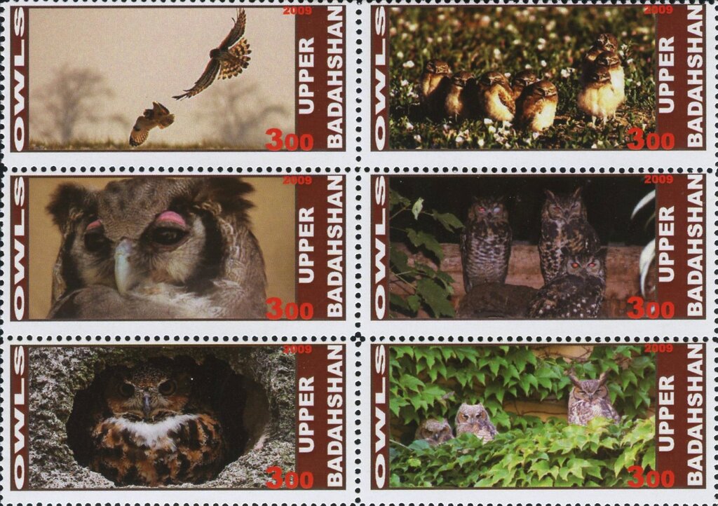 Owls