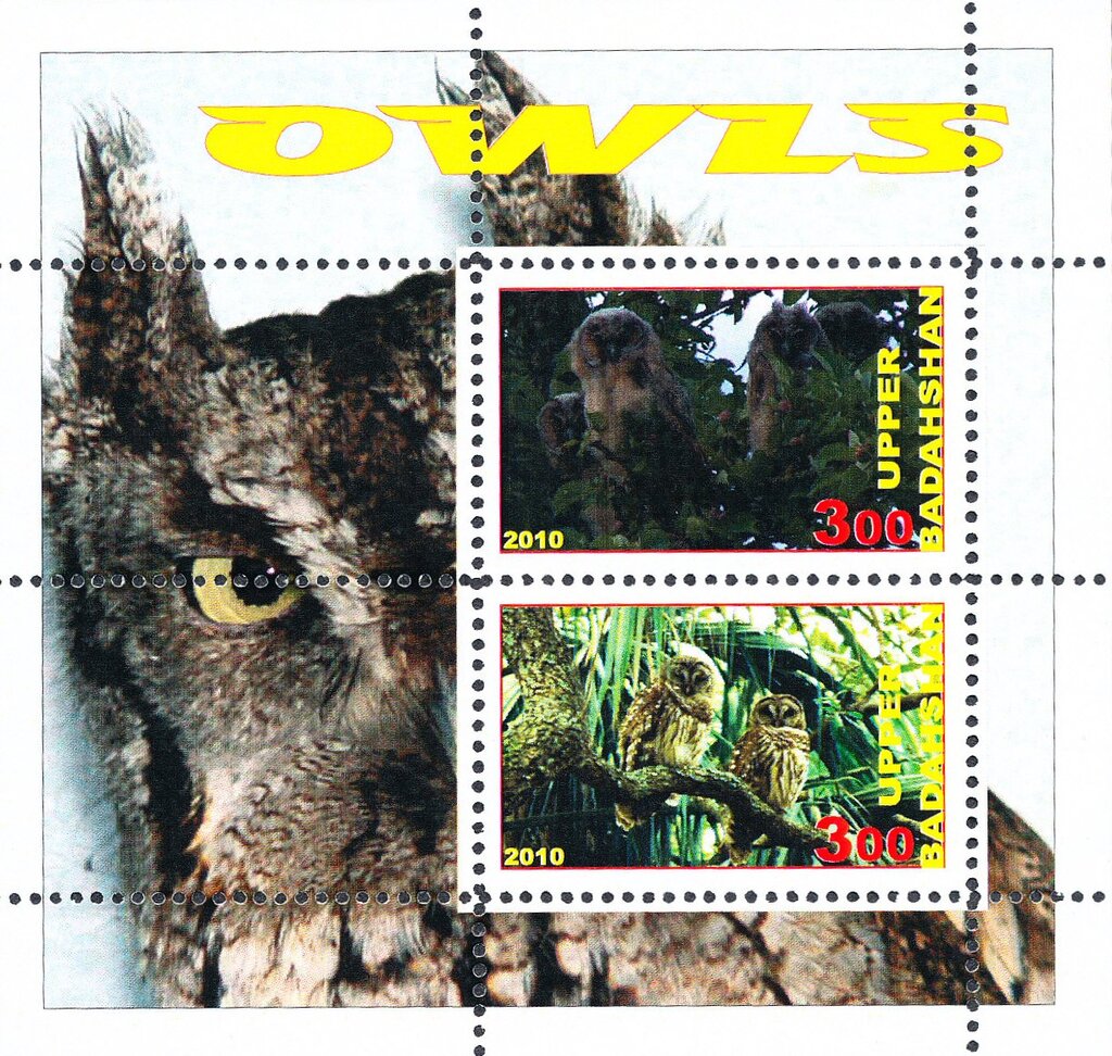Owls