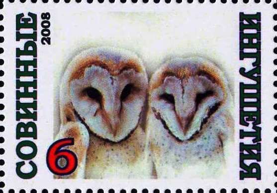 Owls