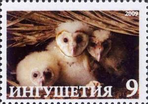 Stamp, Owls, Cinderellas,  , Animals (Fauna), Birds, Birds of Prey, Owls