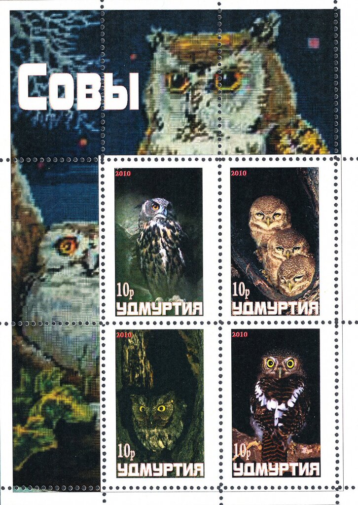 Owls