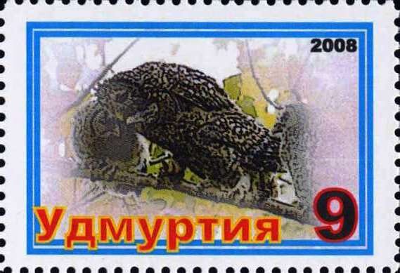 Owls
