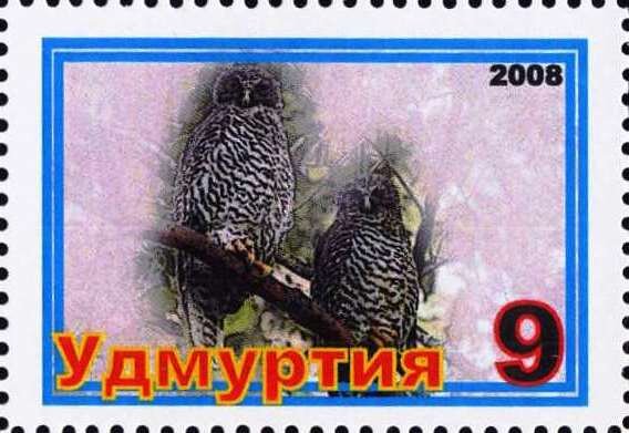 Owls