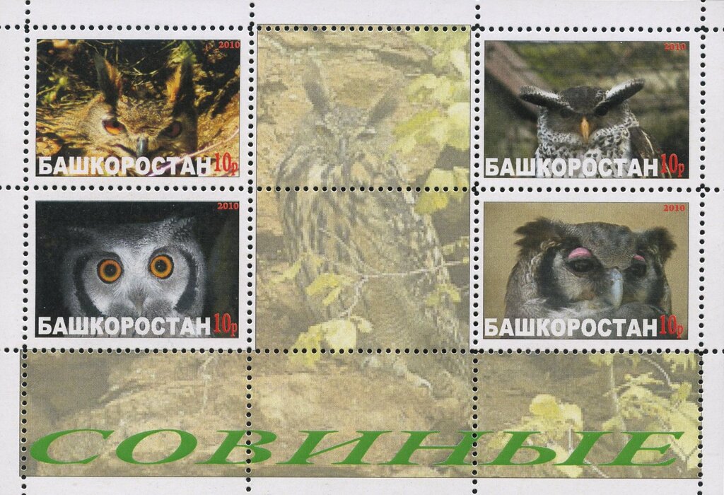 Owls