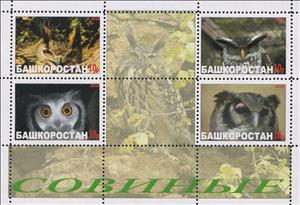Mini Sheet, Owls, Cinderellas,  , Animals (Fauna), Birds, Birds of Prey, Owls