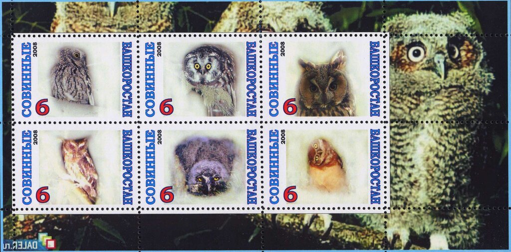 Owls