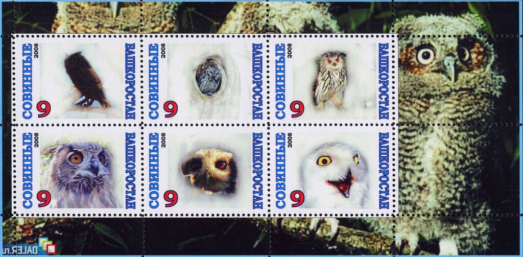 Owls