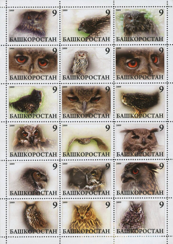 Owls