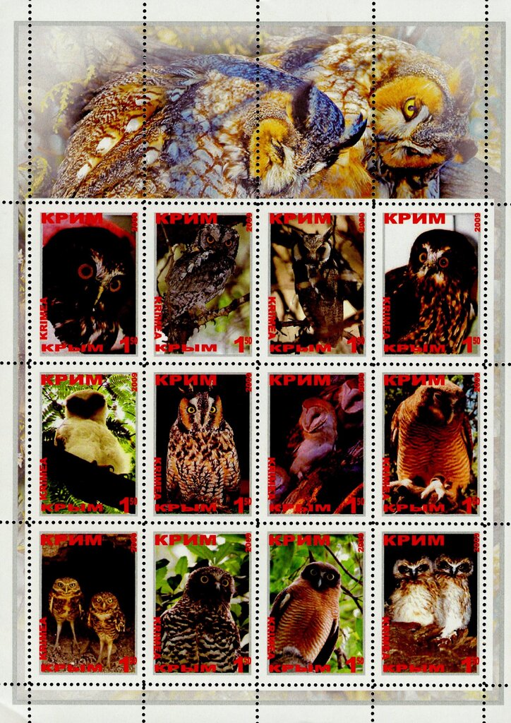 Owls