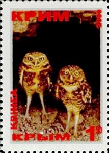 Stamp, Owls, Cinderellas,  , Animals (Fauna), Birds, Birds of Prey, Owls