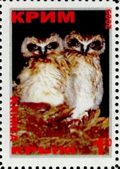 Owls