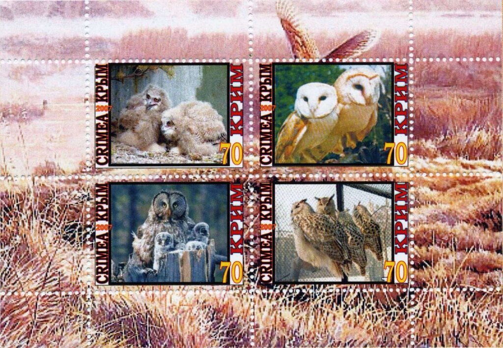Owls