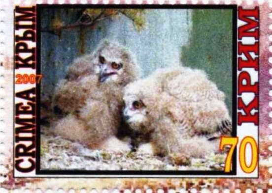 Owls