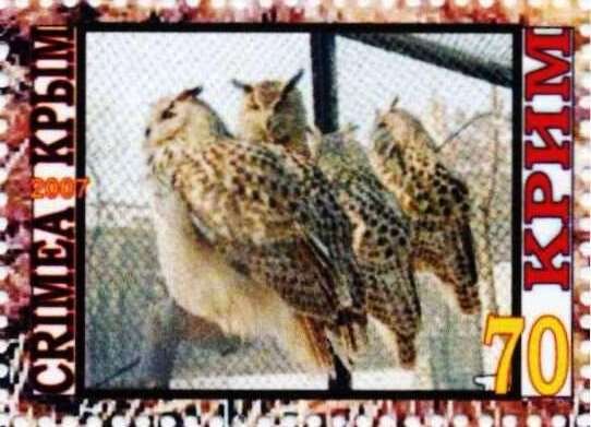 Owls