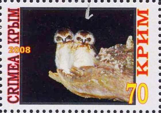 Owls
