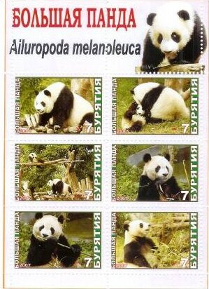 Pandas