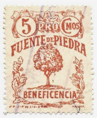 Pro-Charity (Fuente de Piedra)