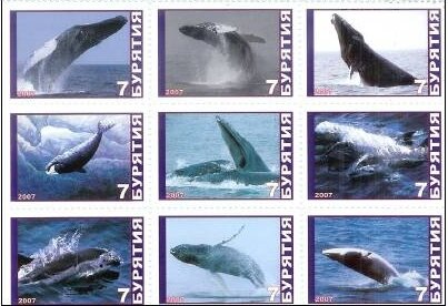 Whales