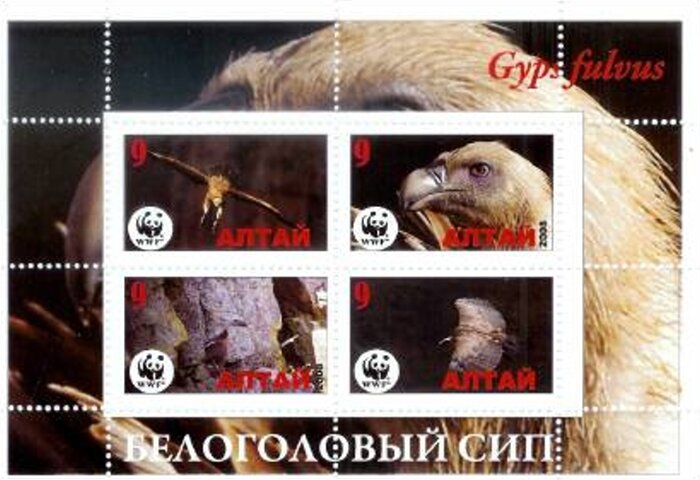 Wwf