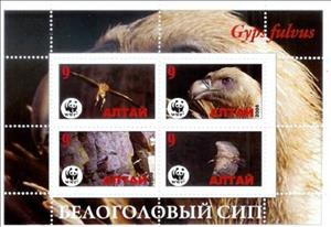 Mini Sheet, Wwf, Cinderellas,  , Animals (Fauna), Birds, WWF