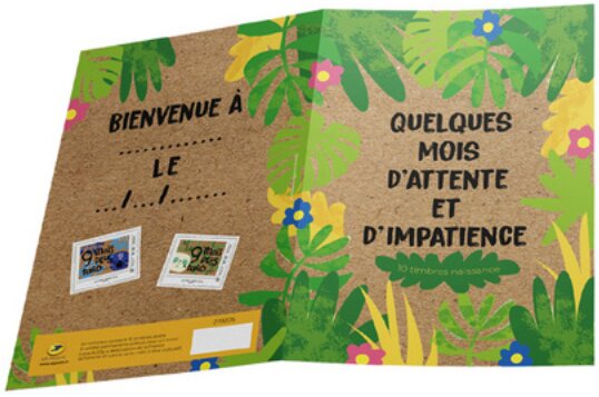 Birth Announcement. 9 months later. 9 mois plus tard