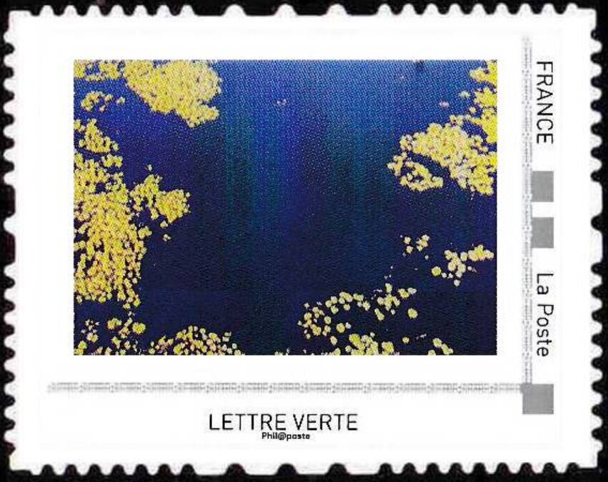 Landemarias Peat beds, Ile de Vilaine