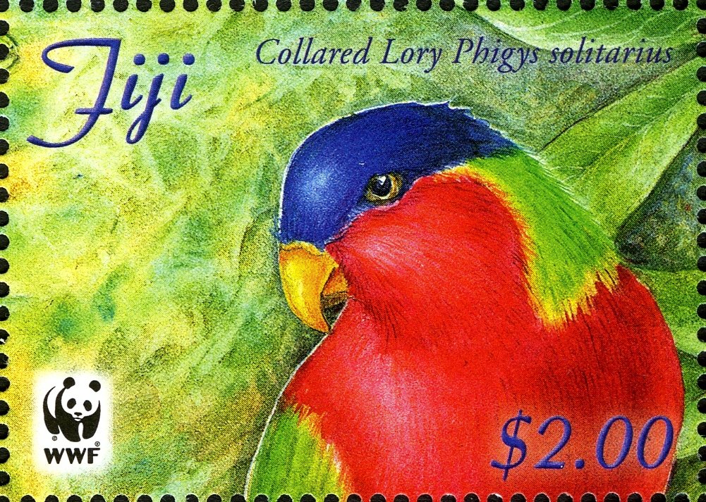 Collared Lory (Phigys solitarius)