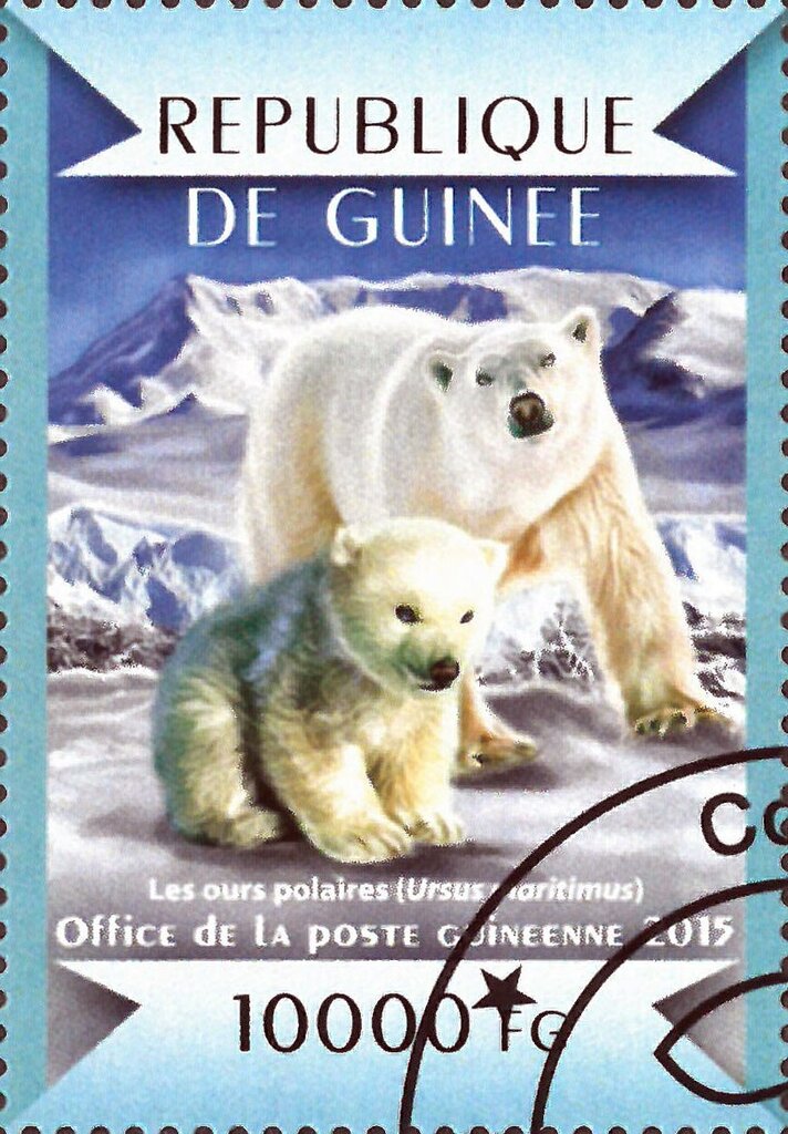 Polar Bears