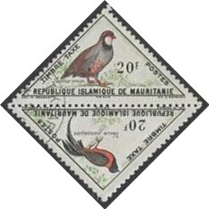 Red-legged Partridge and Paradise Wydah