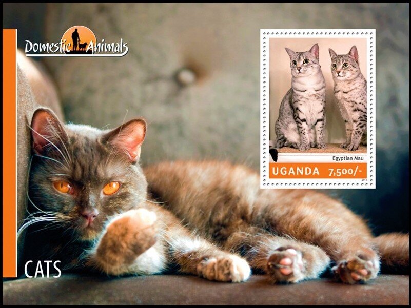 Egyptian Mau