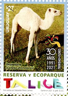 Talice Reserve and Ecopark, 30th Anniversary