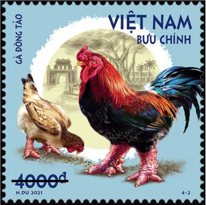 Đông Tảo Rooster & Chicken