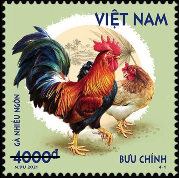 Nhiều Ngón Rooster & Chicken